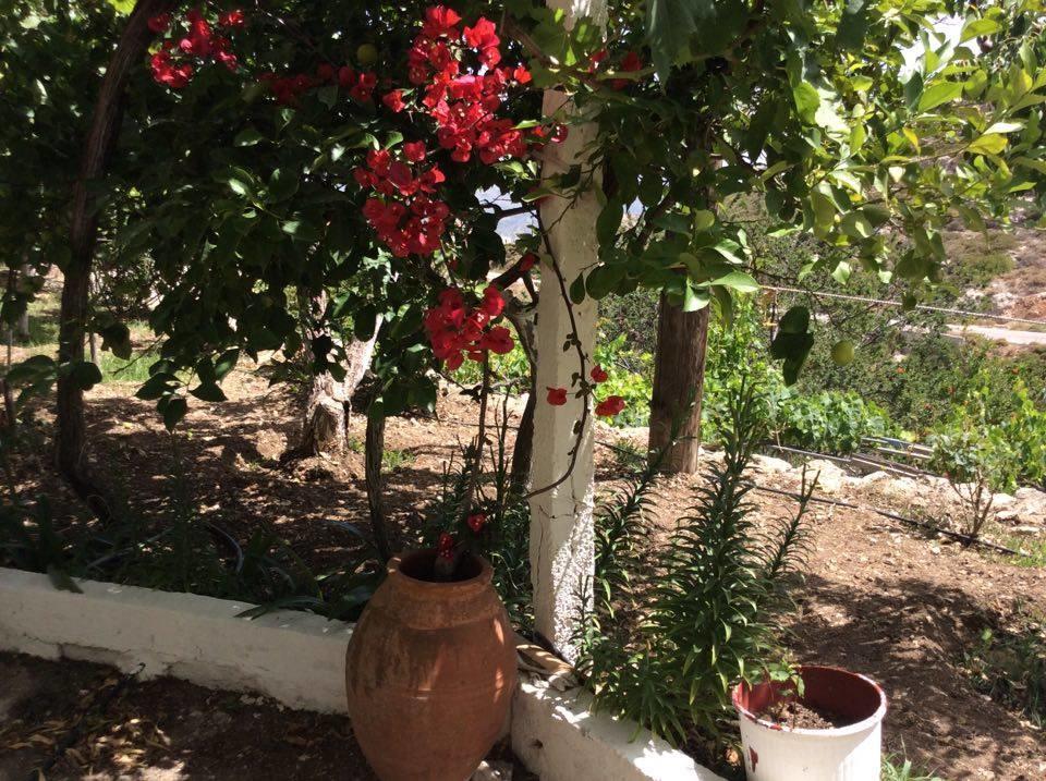 La Villa Di Zazopetra Menetaí Extérieur photo