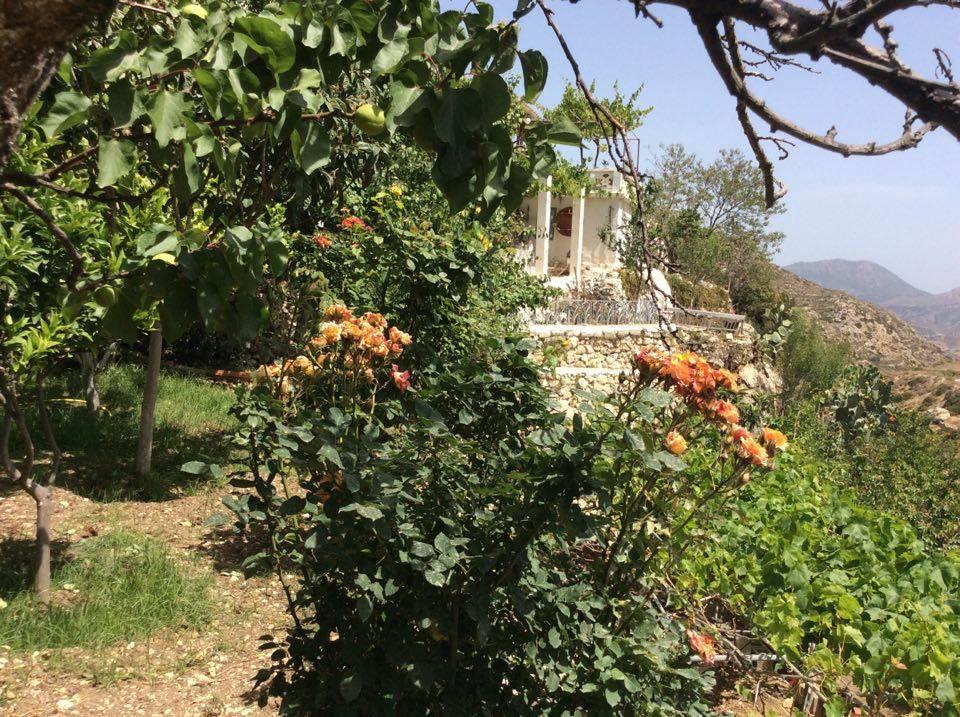 La Villa Di Zazopetra Menetaí Extérieur photo